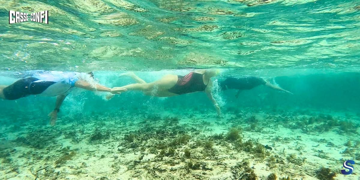 Natation